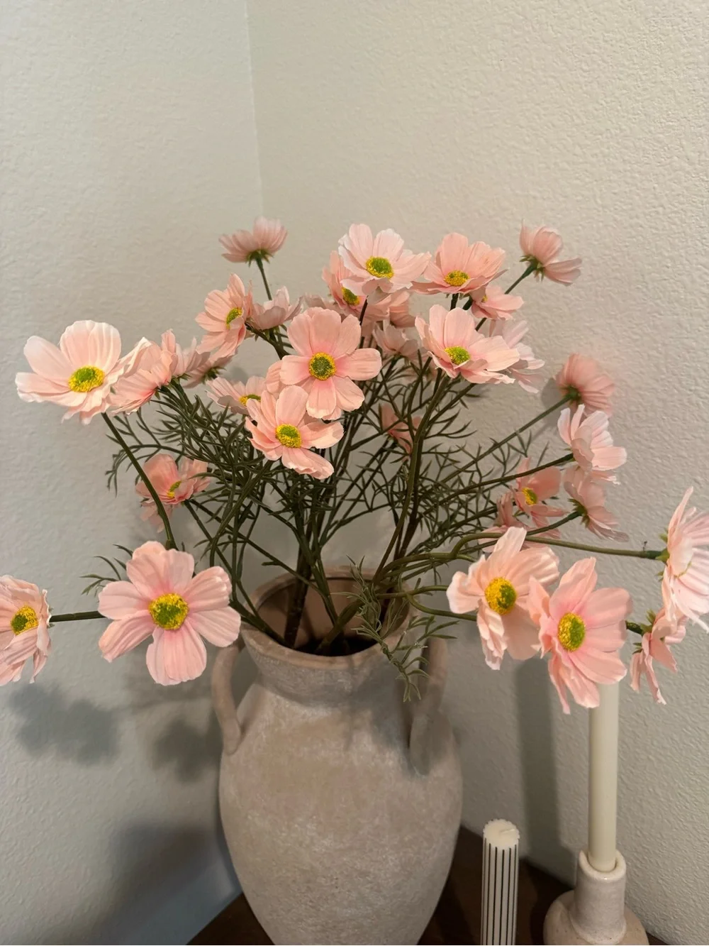 Pink Cosmos Stems